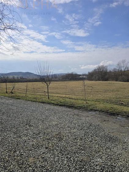 AFACERE LA CHEIE HALA PRODUCTIE + SERA PROFESIONALA - 7