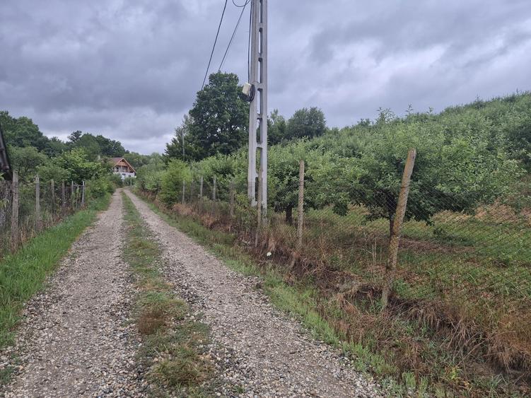 Teren extravilan (inclus in PUG 2026) aproape de Bistrita - 2