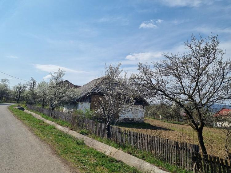 Casa cu teren 44 arii - 5