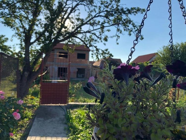 Braytim casa parter (3cam) + casa P+1E rosu (5cam) - teren 1942 mp - 17