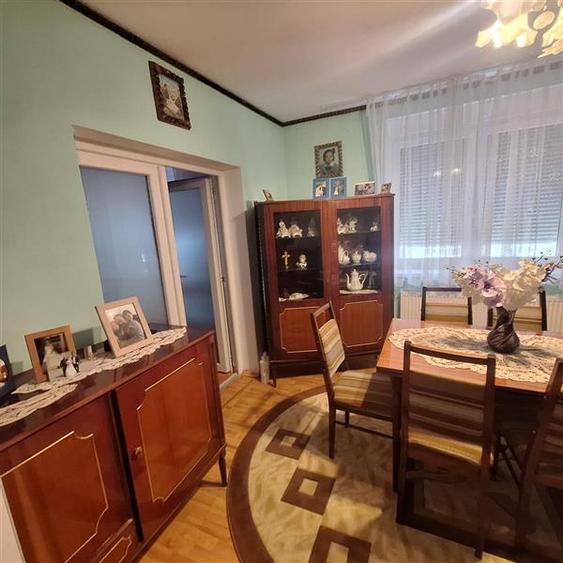 Bocsa Vasiova, Casa cocheta pentru familie, cu Gradina. - 12