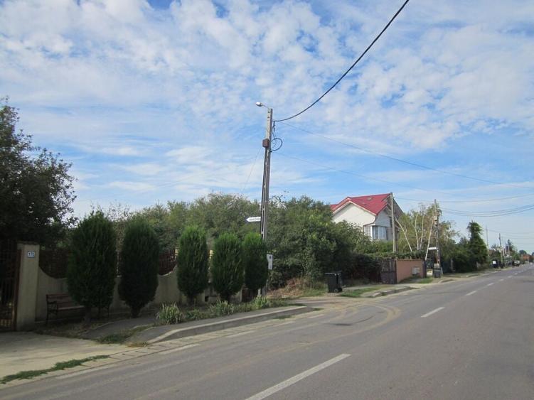 Domnesti Ciutaci-Zorelelor - 4