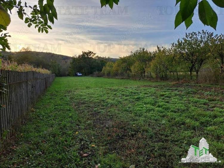 Teren de vanzare / Maneciu Pamanteni - 2