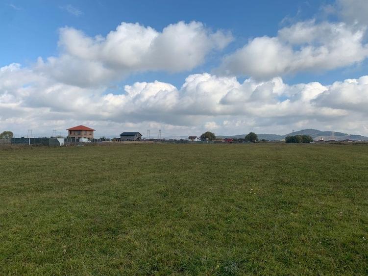 Teren de vanzare - 2