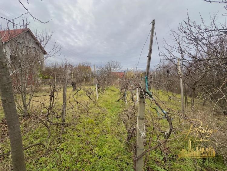 Casa P+M si teren de 1200 mp de vanzare in Uileacu de Munte - Bihor - 18