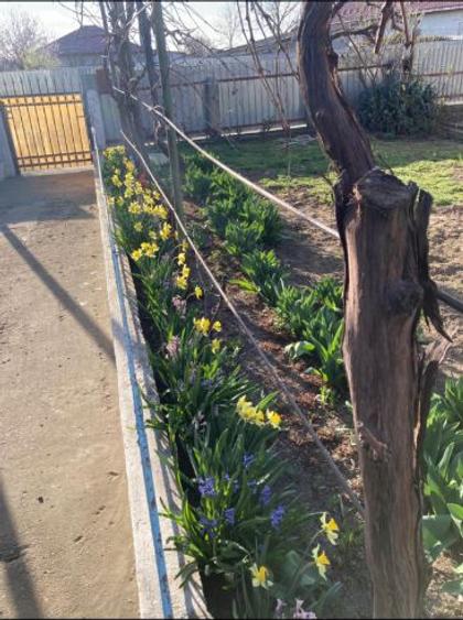 Casa bca, cu teren în concesiune, Palas, lângă Reprezentanta Dacia - 1