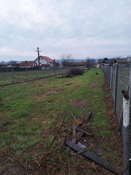 Teren pentru casa in Casin, Bacau - 1