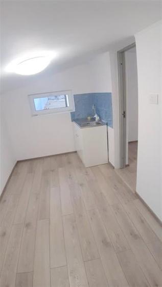 Proprietate ideala pentru familie extinsa sau investitie  Serbanesti, Bacau - 14