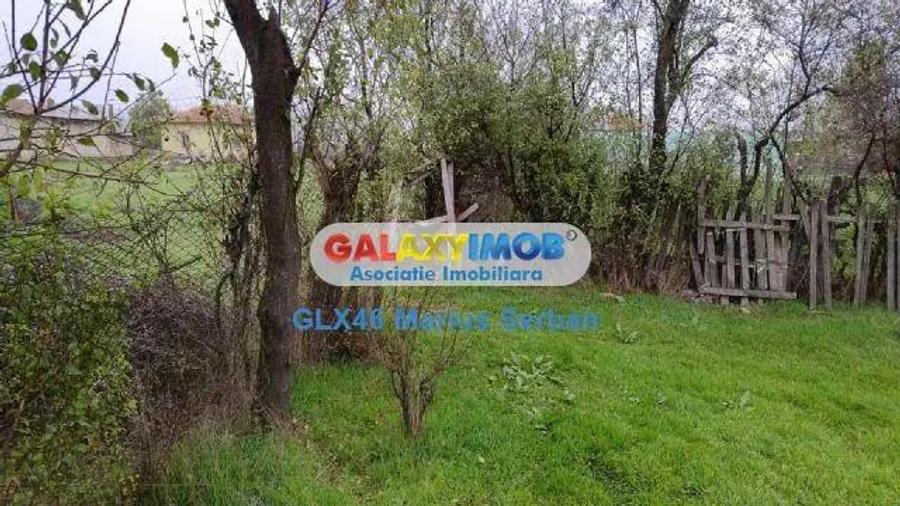 Vanzare teren intravilan Petresti - 4