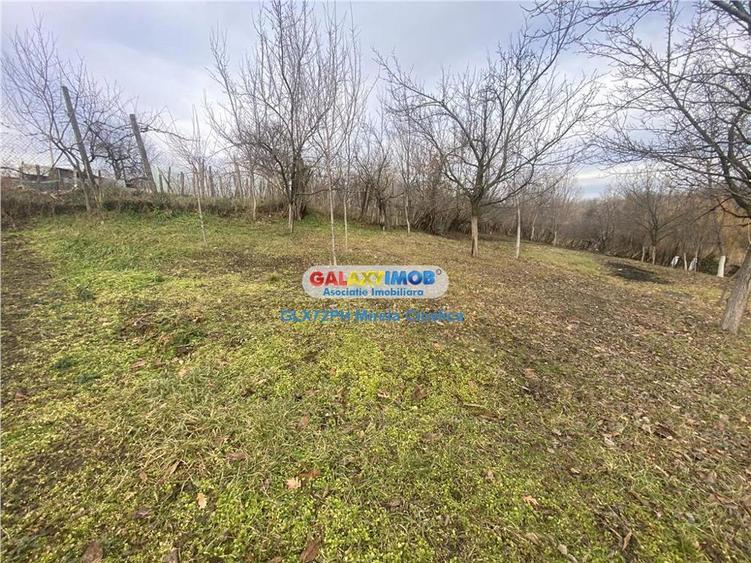 Vanzare casa Baicoi Prahova zona Dambu - 3