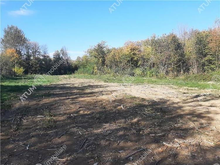 Teren intravilan de vanzare pe Valea Avrigului in suprafata de 1800 mp - 4
