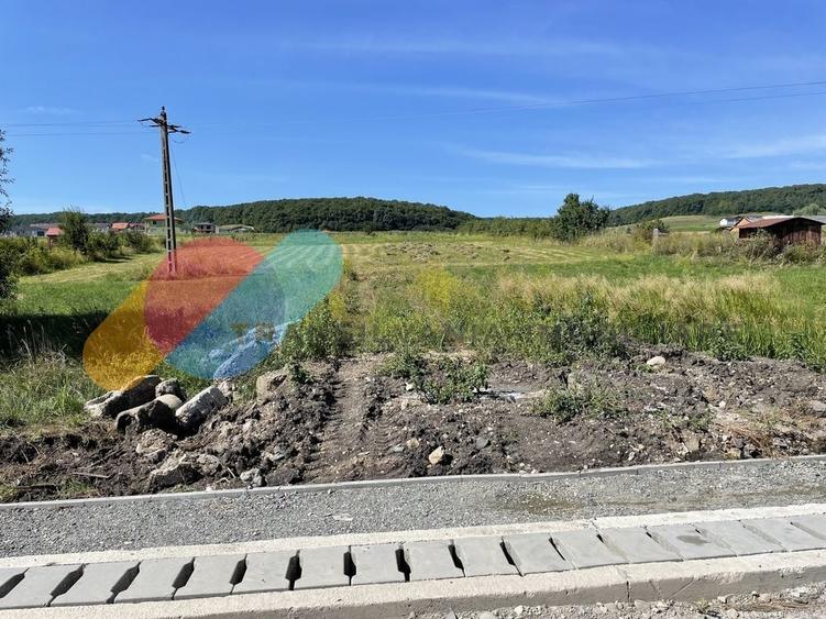 Teren 780mp Chinteni - 2