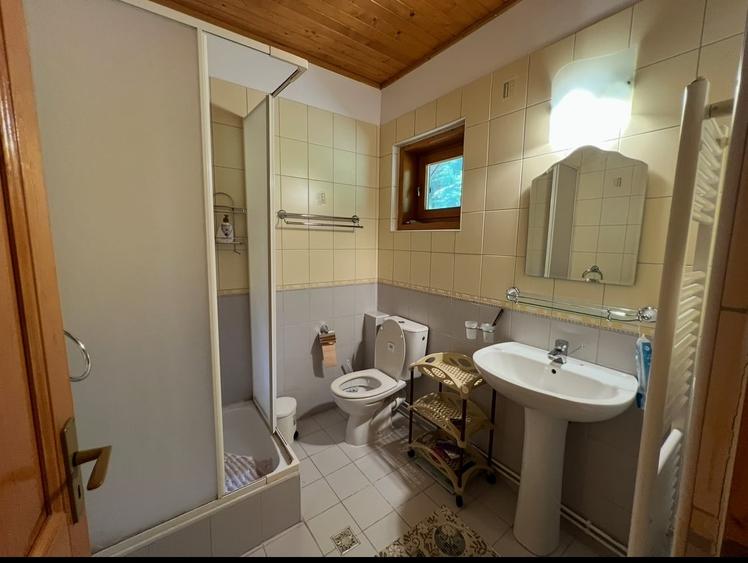 Vila la Busteni - 14