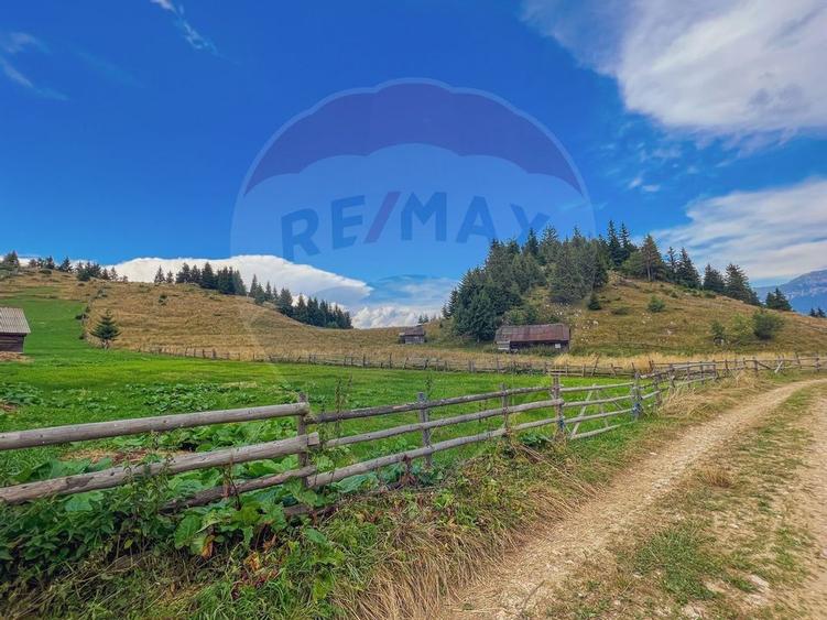 Teren de 7830mp de vanzare in Fundata! Comision 0% - 15