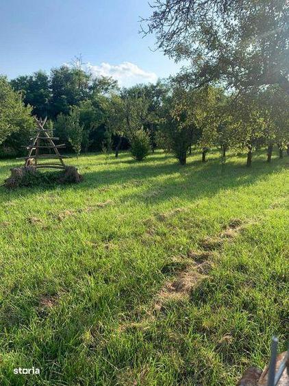 Vant teren Curtea de Arges - 1