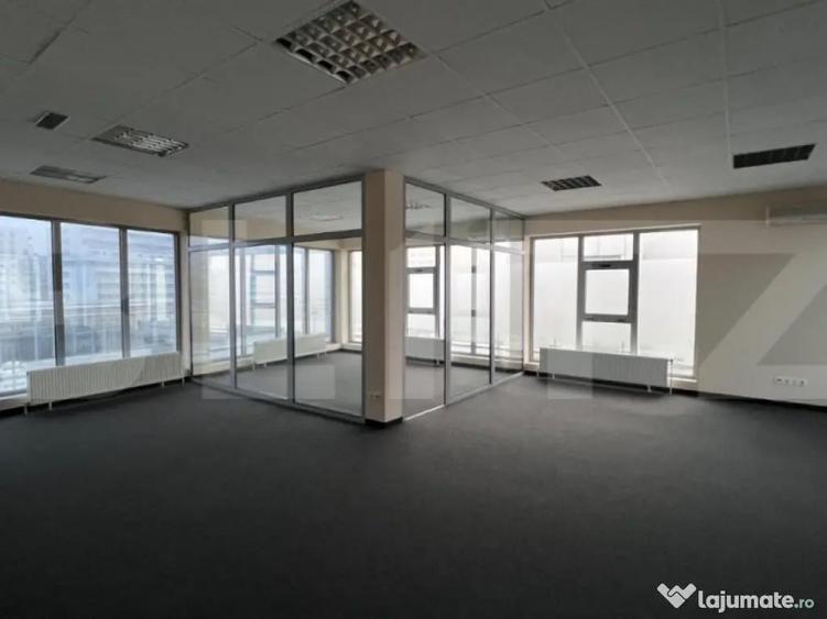 Cladire individuala, medical sau birouri, 900mp, Calea Turzi - 9