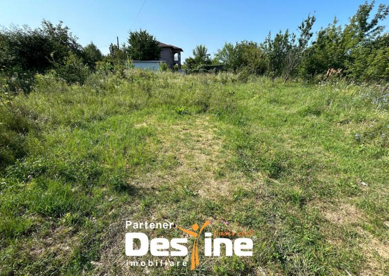 Teren Intravilan - Hlincea (Ciurea) 1000Mp - 6