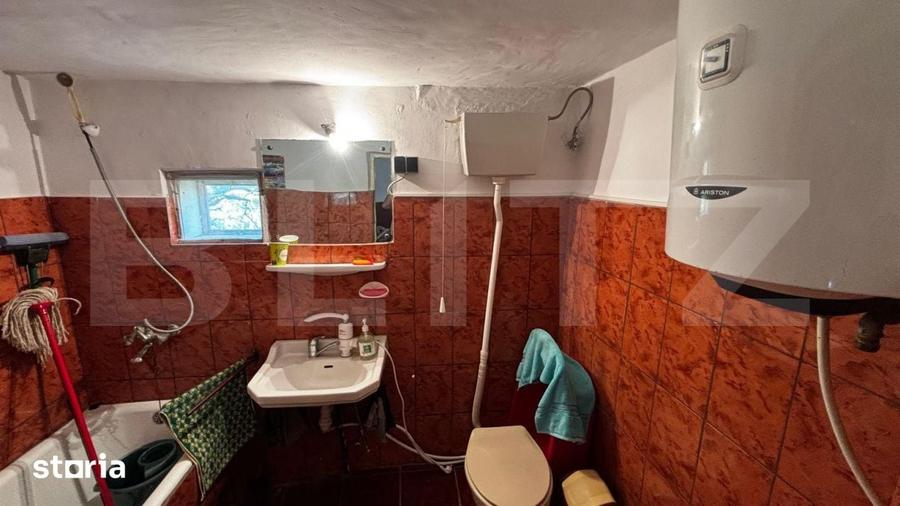 Proprietate cu 2 case, 3.345 mp teren, Balota de Jos, comuna Murgasi - 12