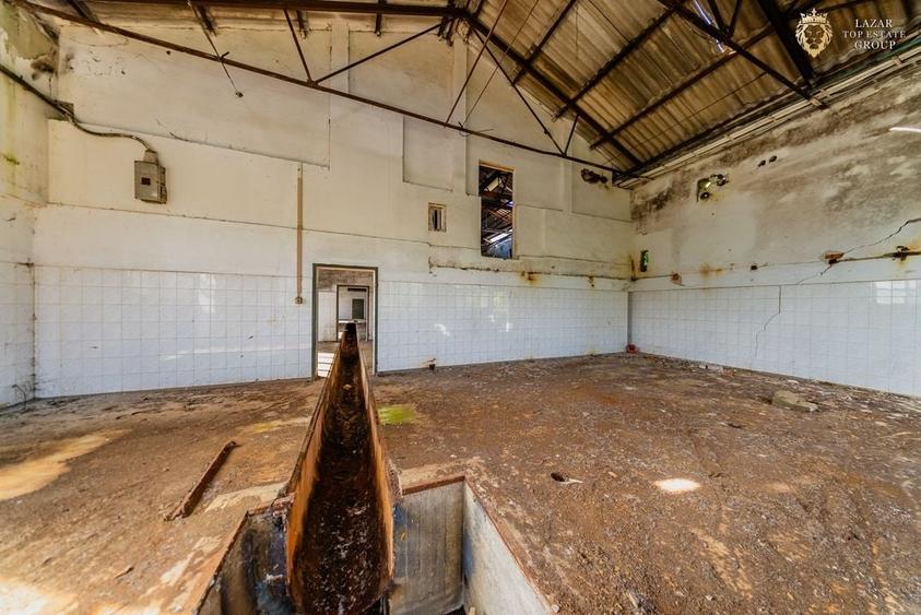 Cladire industriala de vanzare cu potential 3,5 ha in Batania - 31