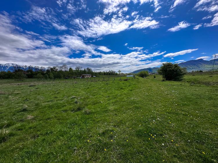 Teren Bran Zarnesti 3 km Castelul Bran 25 km Brasov - 3