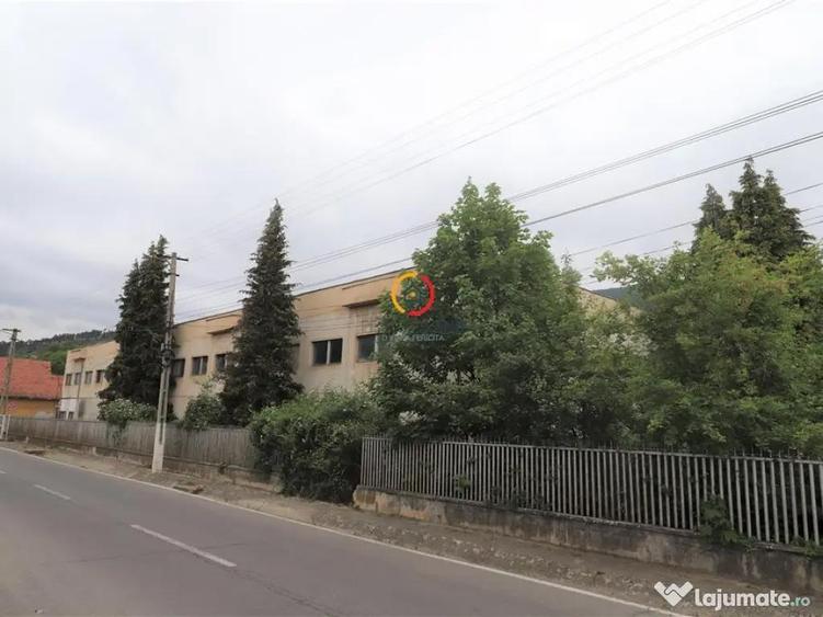 Oportunitate de investitie - 1