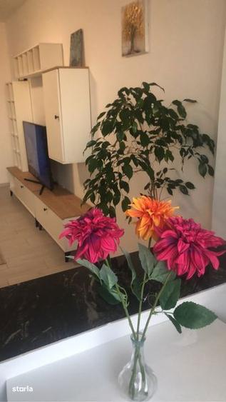 Inchiriez garsoniera la Burdea - 1