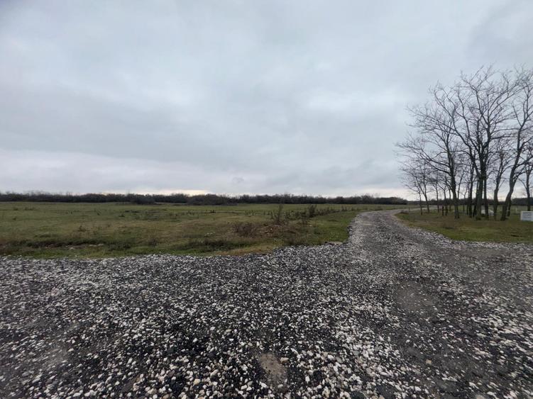 🏞️Casa langa Ineu, judetul Arad ! - 8