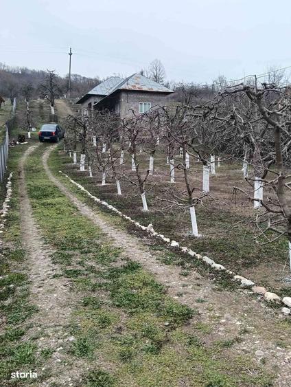 Casa de vanzare - locul unde acasa prinde contur - 1