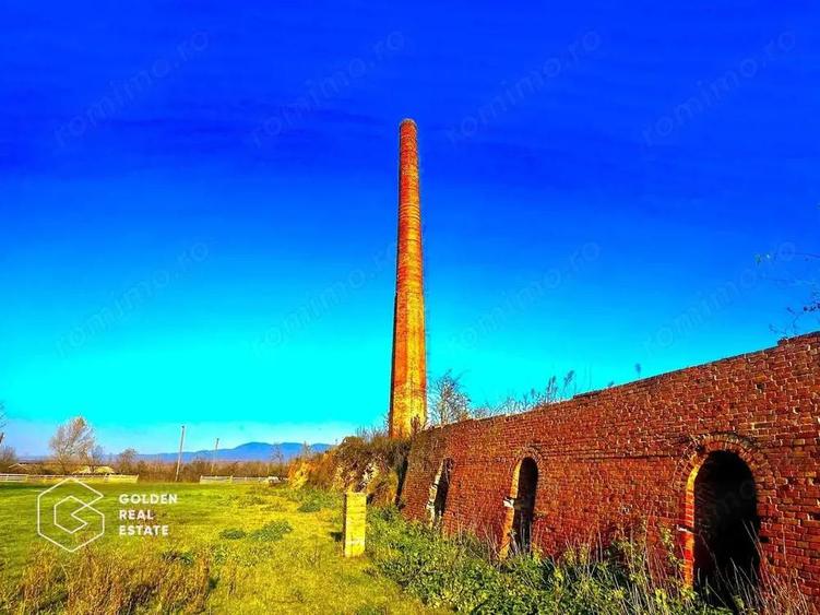 Teren intravilan 71.000mp, Barsa, Renumita Fabrica de caramida si casa 4 camere - 6