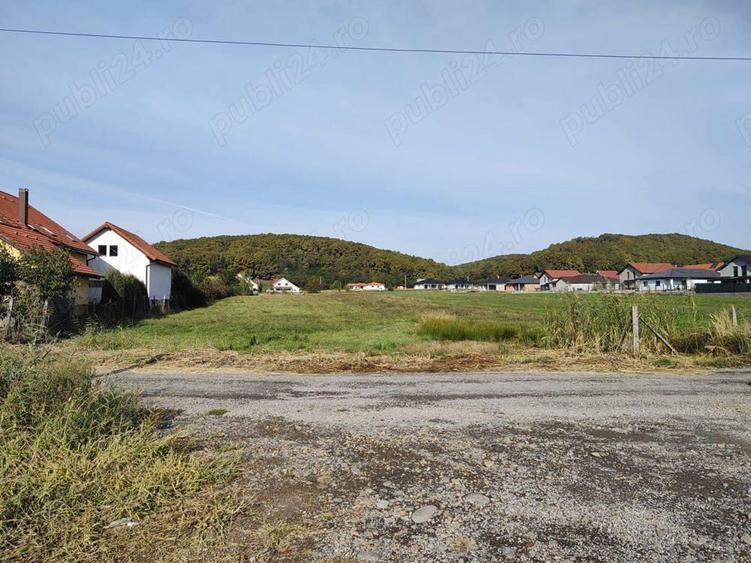 4300 mp - Teren intravilan Reghin , la iesirea spre Dedrad - 2