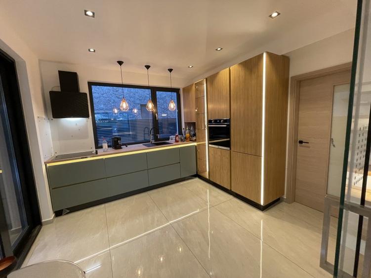 Iancu  Nicolae Villa moderna exclusivista de inchiriat - 9