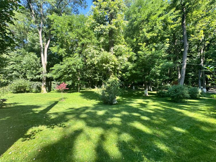 Vila  7 camere iancu nicolae gata de mutare - 3