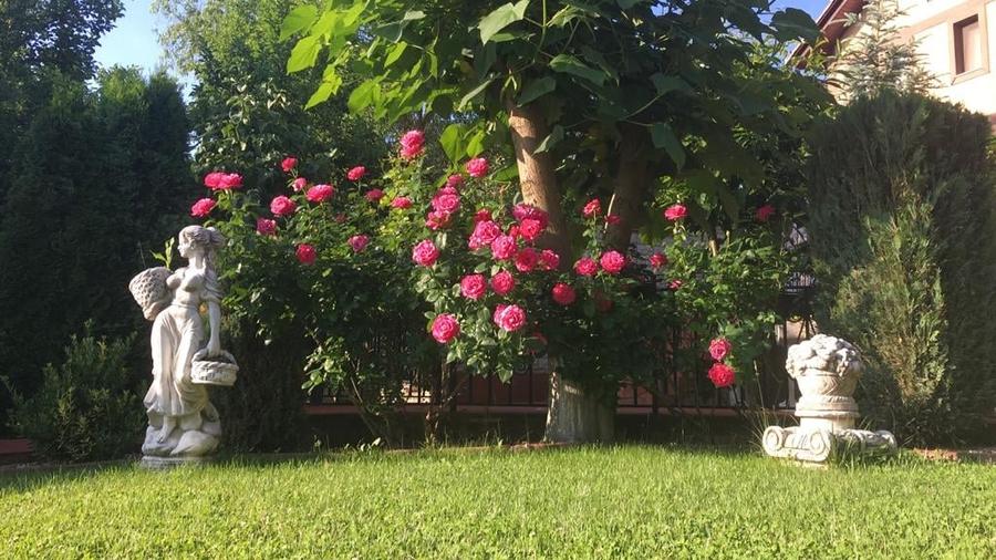 Vila zona Ultracentrala - 20