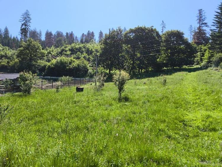 Teren intravilan deosebit - Cristian. - 4