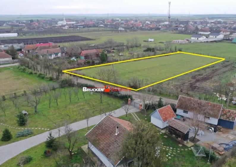 Teren intravilan de 2.623 mp in Les la 20 min de Oradea - 2