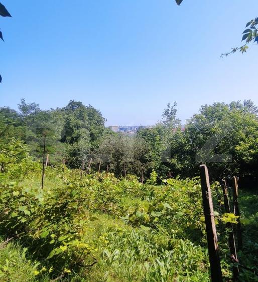 Teren Construcții intravilan de 2889 mp, în Aleea Tudor Neculai