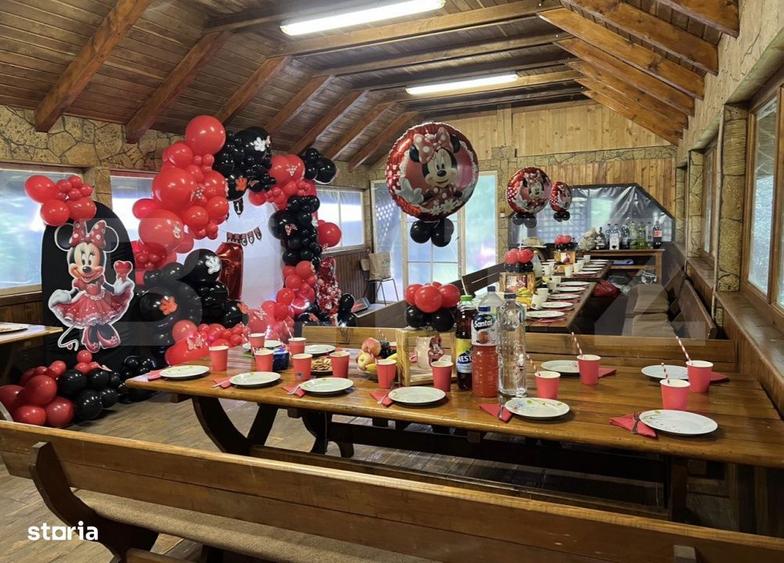 CABANA DACICA Refugiu premium la poalele Muntilor Dacici, in inima - 3