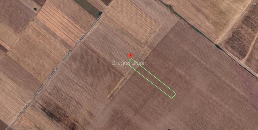 Teren Extravilan In Rate Primaverii Com. Berceni | 4997mp | #EG48