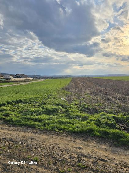 Parcele teren intravilan - Dancu - 3