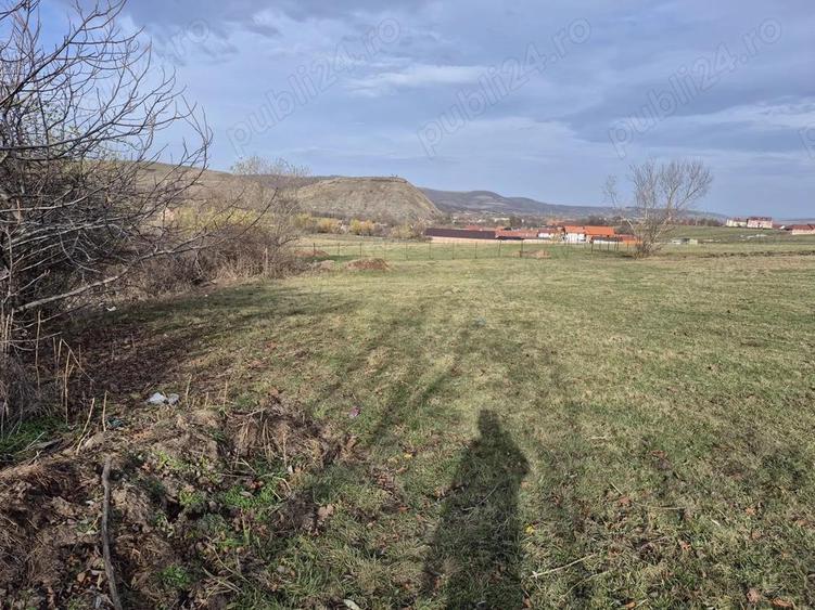vand teren in Orlat, judetul Sibiu 1500mp extravilan - 4