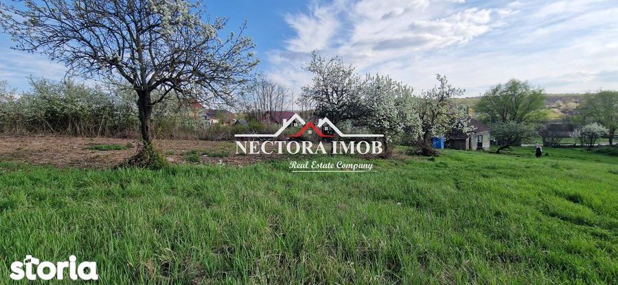 NECTORA IMOB-Casa 70 mp cu teren 951 mp, front 16 mp, Paleu Centru - 1