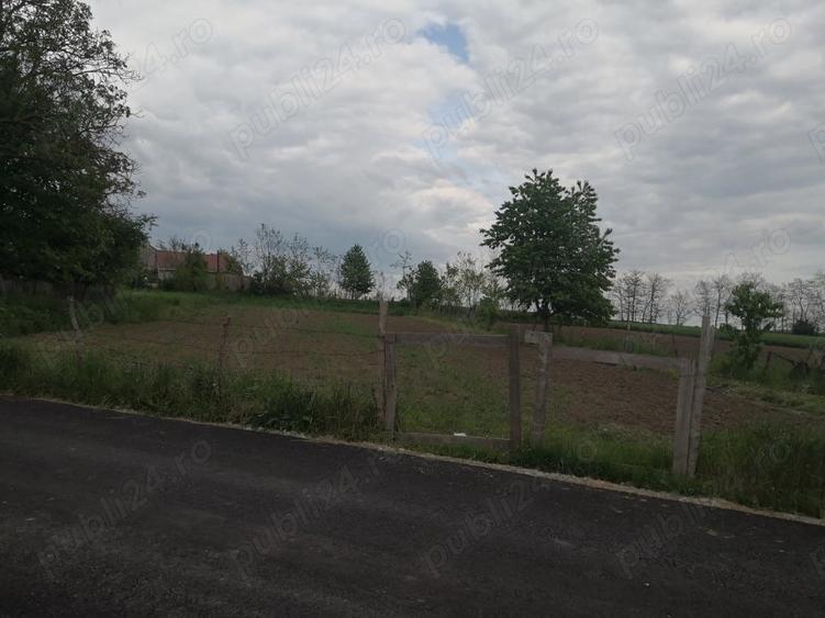Casa cu teren de vanzare in rural Dolje?ti, Neam? - 4