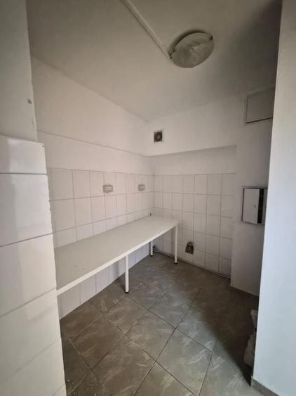 De vanzare Vila individuala, 9 camere, Mosilor - Eminescu, sector 2 - 11