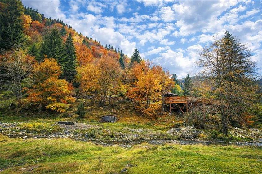 Teren intravilan panoramic 4.600mp,view iconic Piatra Craiului,oportunitate prem - 6