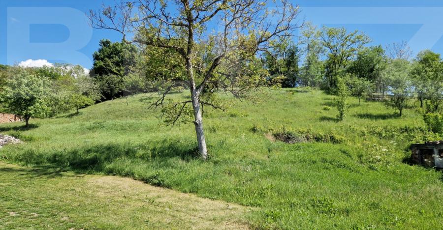 Casa de Familie | 175 mp + Curte 3166 mp | Tatara?ti, B - 18