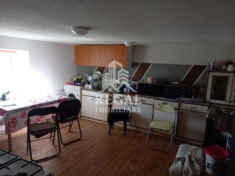 Două case de vânzare – Cerisor – teren generos 6996 mp - 4