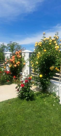 Casa de vânzare  - 10