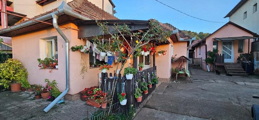 Casa familiala Dezmir - 2