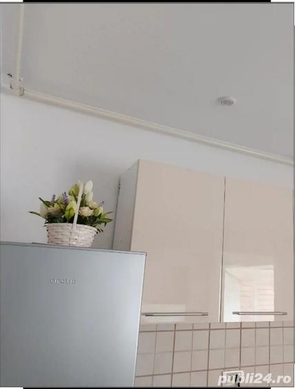 Inchiriere termen lung,contract Anaf - 2