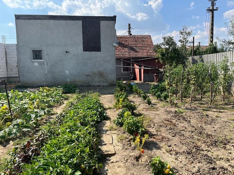 Casă cu 2 camere cu Teren 355 Mp în Micălaca